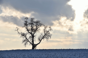 lumière d'hiver